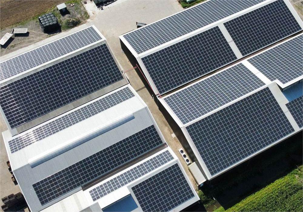 Dlaczego każda fabryka powinna rozważyć instalację paneli słonecznych